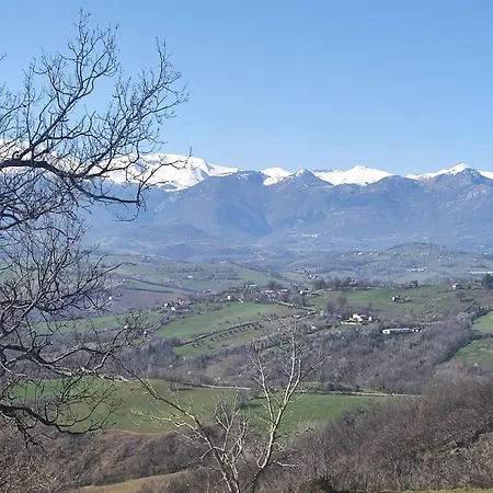 Graziesole Mattone