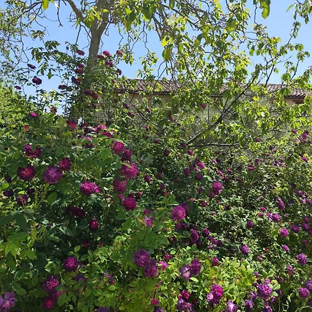 Graziesole Mattone Apartament *