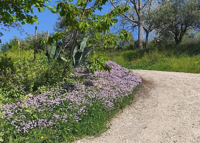 Graziesole Mattone Apartman Penna San Giovanni